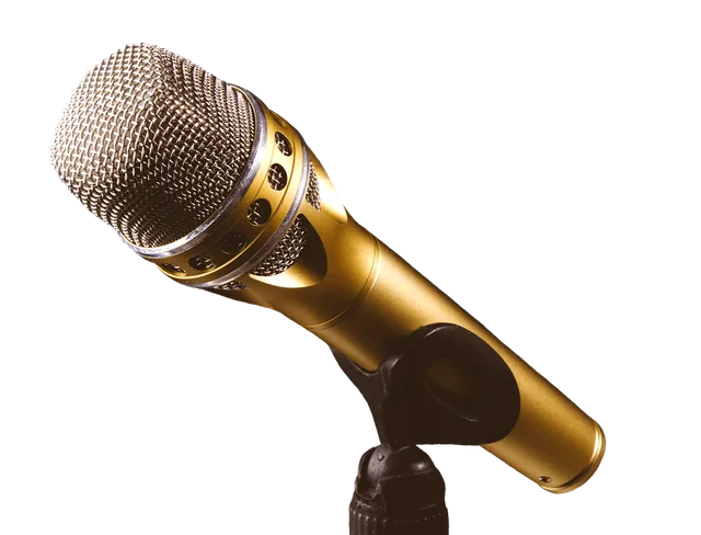 microphone, music, to sing, to speak, speech, technology, equipment, voice, isolated, cropping, exemption, cutting out, cut out, microphone, microphone, microphone, microphone, microphone. Which award speeches are most often misquoted