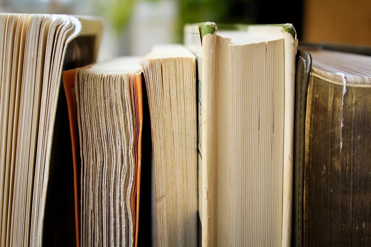 christmas background, books, education, library, pile, knowledge, wisdom, learn, study, read, novels, old, antique. How to Fact Check a Canadian Throne Speech Without Partisan Spin