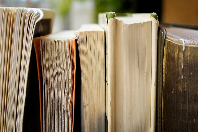 christmas background, books, education, library, pile, knowledge, wisdom, learn, study, read, novels, old, antique. How to Fact Check a Canadian Throne Speech Without Partisan Spin