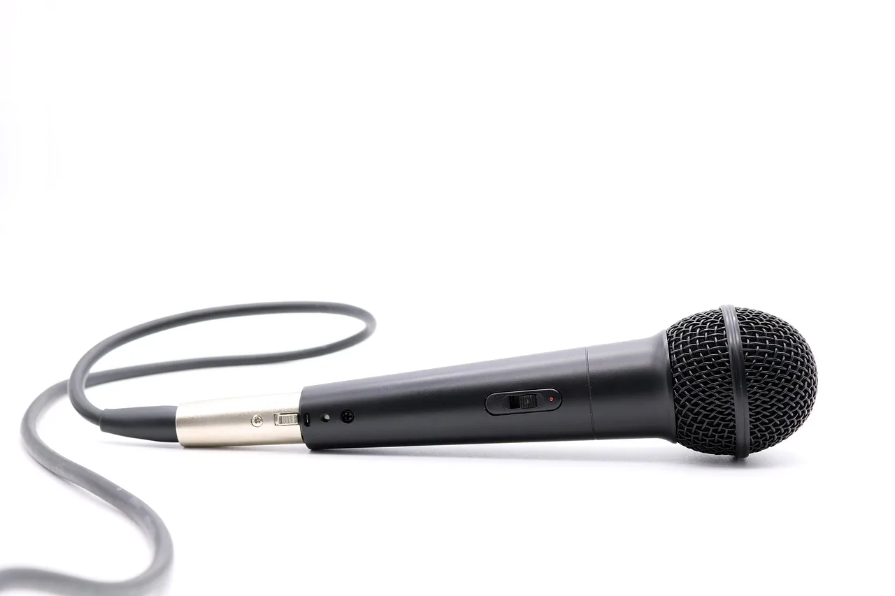 microphone, mic, mike, sound, audio, dynamic microphone, microphone, mic, mic, mic, mike, mike, mike, mike, mike. Which Hockey Hall of Fame Induction Speeches Hold Up to a Source Check?