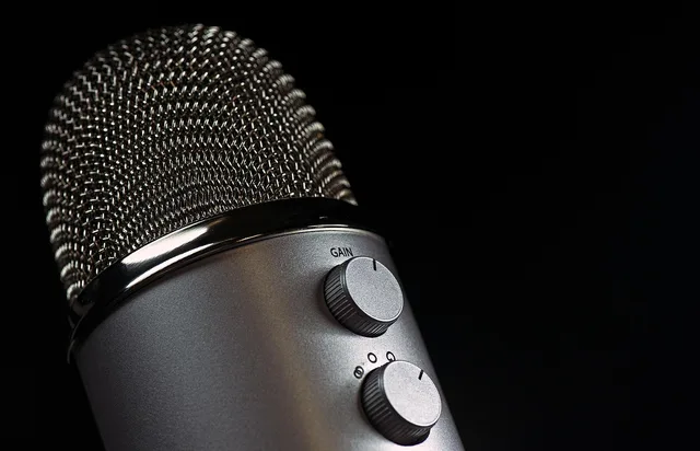 microphone, mic, vocal, media, mike, speaker, sound, technology, radio, public, voice, speech, broadcasting, conference, entertainment, studio, interview, multimedia, communication, instrument, audience, presentation, audio, voice-overs, singer, singing, show, talk, grid, controls, gain, volume, chat, performance, gig, online, black technology, black meeting, black online, black community, black communication, black talk, black microphone, black radio, black talking, black conference, black presentation, black media, microphone, microphone, mike, mike, speaker, interview, interview, interview, interview, interview. Award speech season in Los Angeles and how speeches get archived