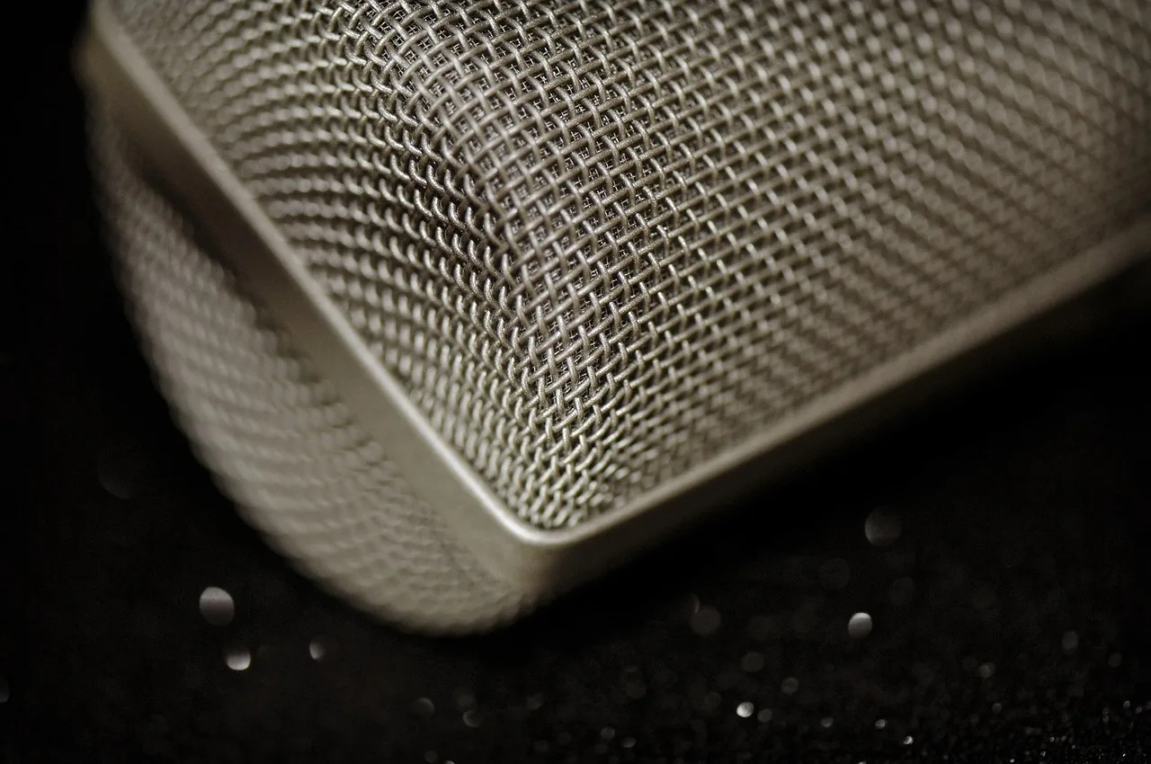 microphone, grid, vocal, voice, professional, vintage, broadcast, speech, karaoke, equipment, record, mic, audio, sound, music, speak, closeup, volume, technology, radio, sing, studio, concert, brown microphone, brown radio, brown concert. Political speeches shift with the medium, not the decade