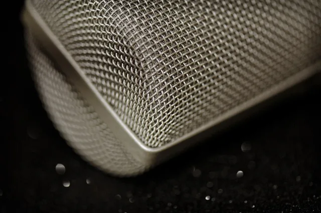 microphone, grid, vocal, voice, professional, vintage, broadcast, speech, karaoke, equipment, record, mic, audio, sound, music, speak, closeup, volume, technology, radio, sing, studio, concert, brown microphone, brown radio, brown concert. Political speeches shift with the medium, not the decade