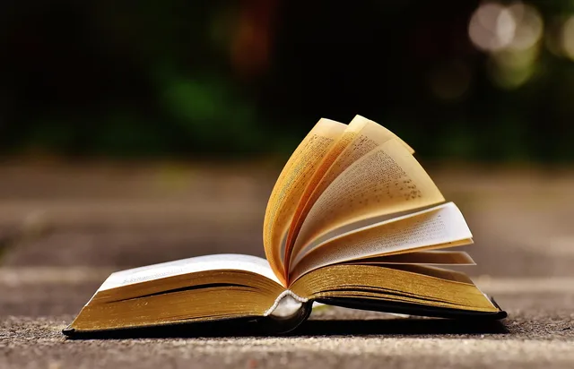 a book, pitched, book pages, paper, scroll, open, leafed through, pressure, side, turn the page, read, literature, bound, browse, writing, cover, old, scroll, scroll, scroll, scroll, scroll, browse, writing, writing. Public domain speeches misquotes in plain terms